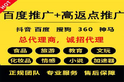 百度推广代运营案例：案例分享：打造行业领军品牌