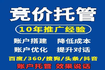 经典案例：专业SEM托管如何实现ROI最大化